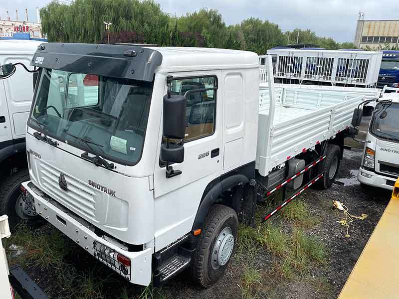 Howo 4X2 Cargo Truck