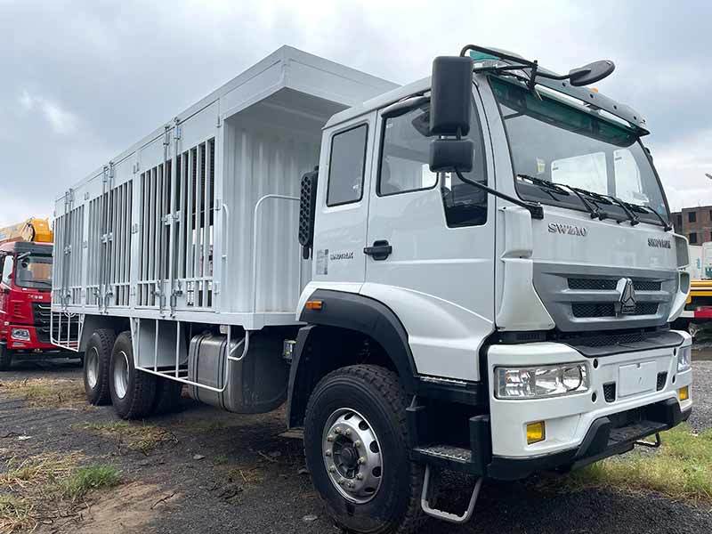 Howo 6X4 Cargo Truck